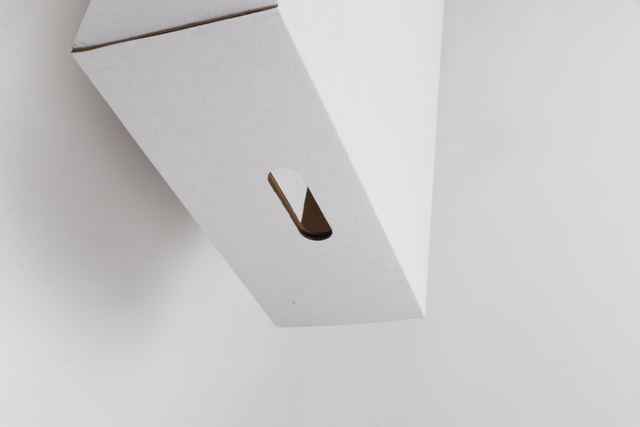 Caja de pescado de papel impermeable | Solución de envasado de acuicultura de grado industrial