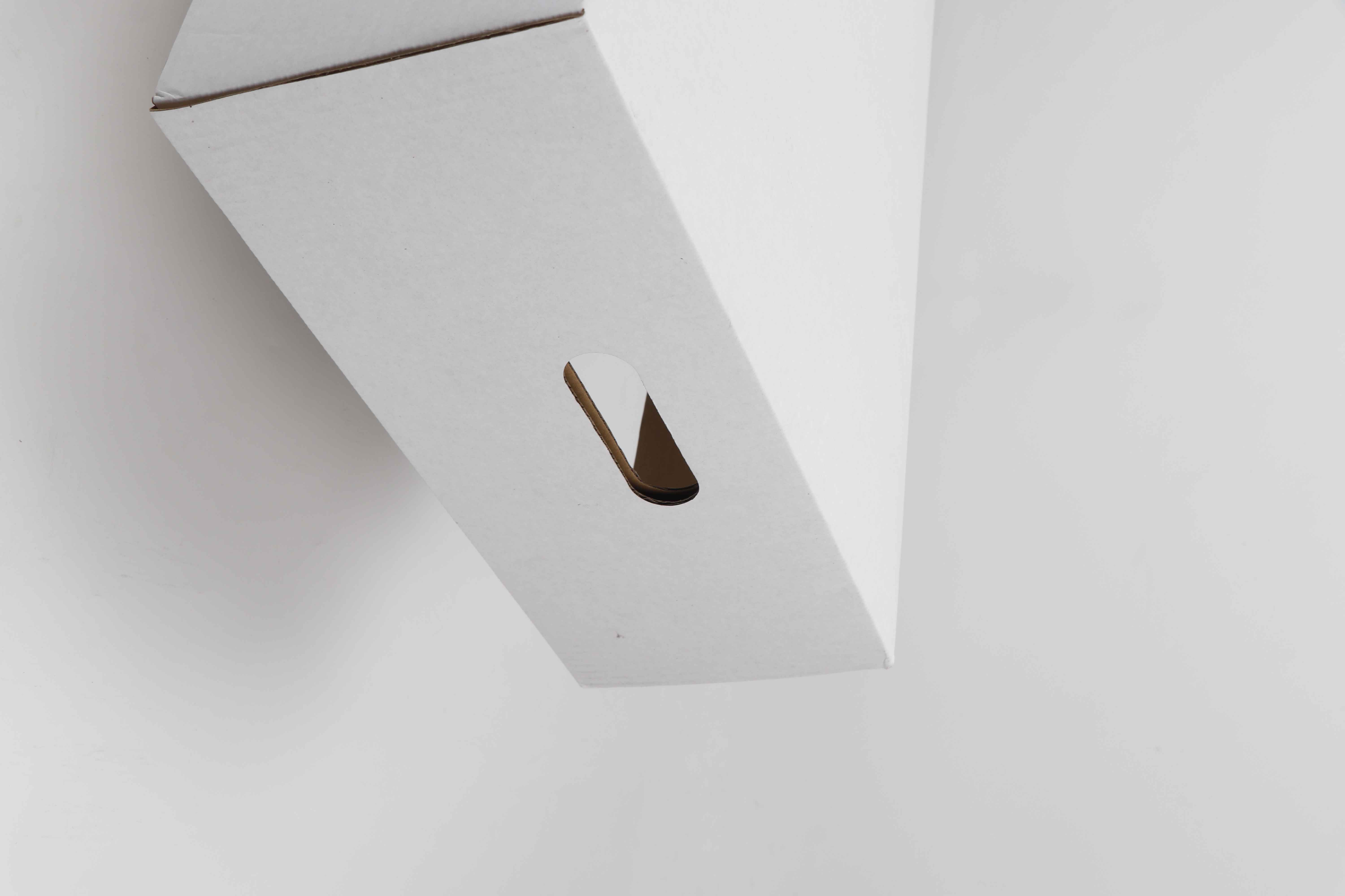 Caja de pescado de papel impermeable | Solución de envasado de acuicultura de grado industrial