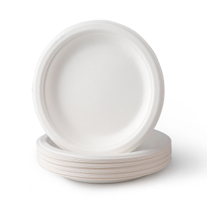 Bandeja de papel de pulpa de caña de azúcar desechable