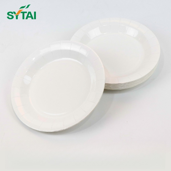 Platos desechables ecológicos al por mayor